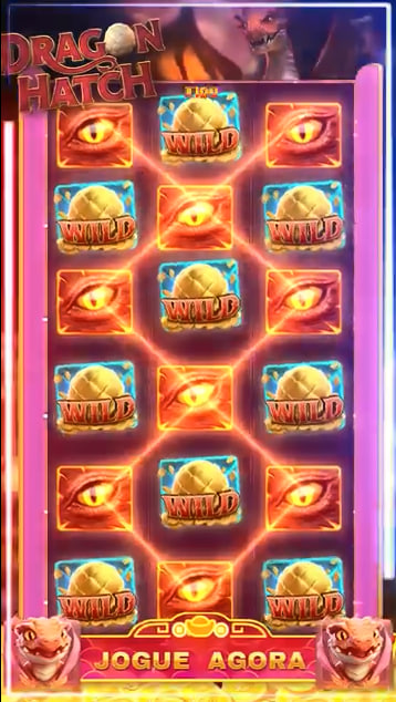Did777 login